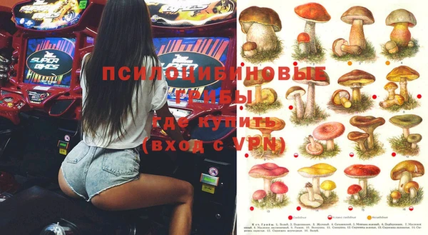 прущие грибы Белокуриха
