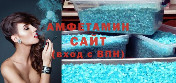 прущие грибы Белокуриха