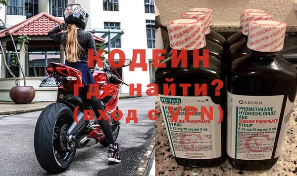 прущие грибы Белокуриха