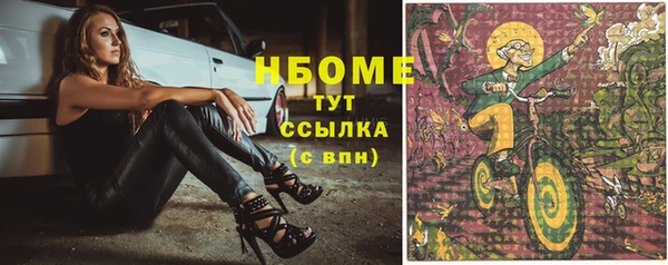 прущие грибы Белокуриха