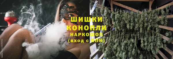 прущие грибы Белокуриха