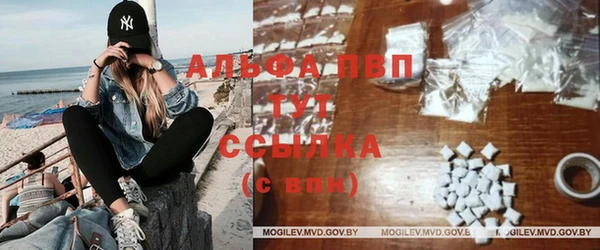 прущие грибы Белокуриха