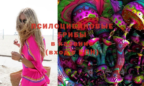 прущие грибы Белокуриха