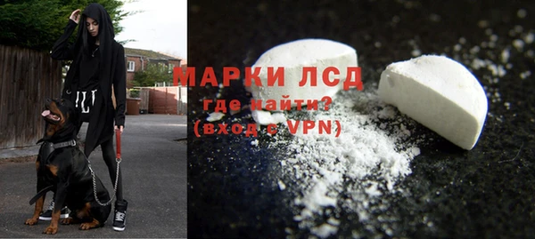 прущие грибы Белокуриха